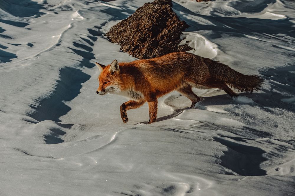 Photograph by Ксения Кузнецова