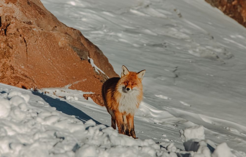 Photograph by Ксения Кузнецова