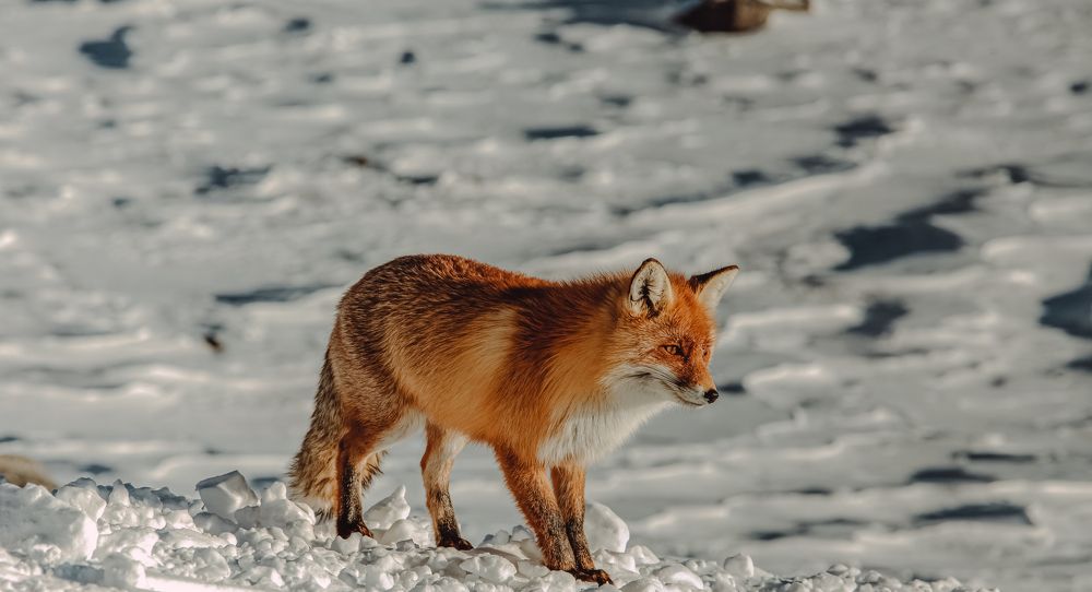 Photograph by Ксения Кузнецова