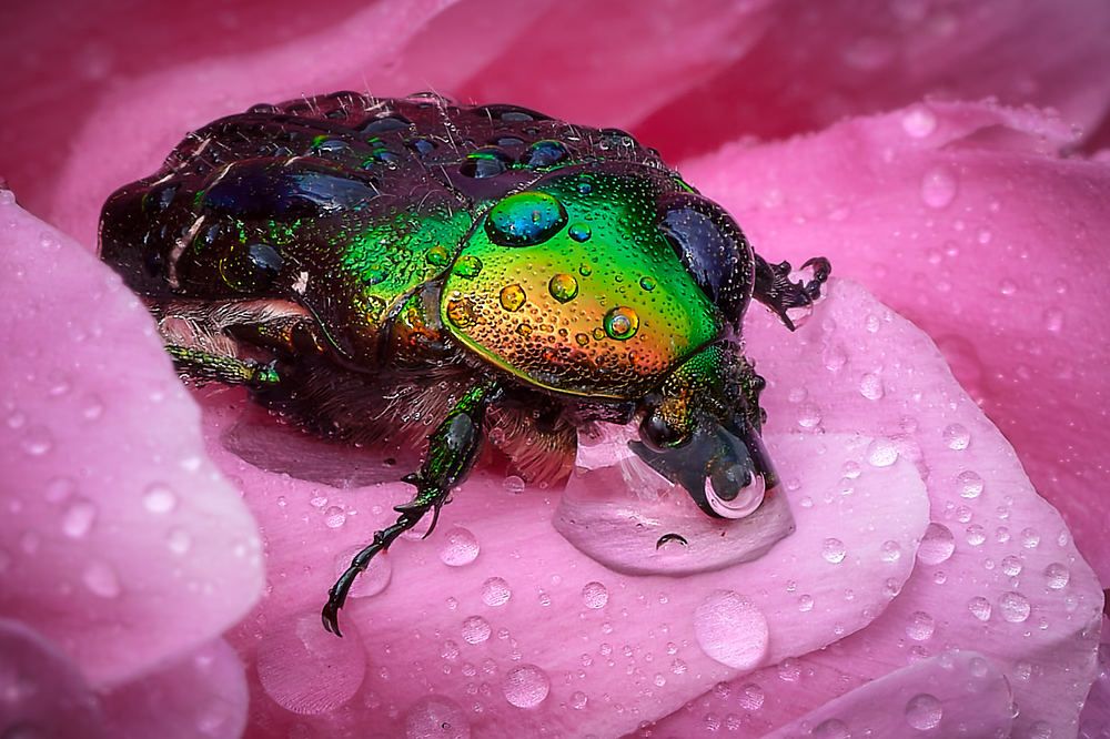 Photograph by Игорь Тымчук