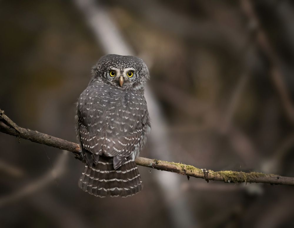 Photograph by Юрий Андреев