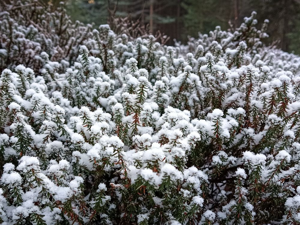 Photograph by Альбина Рычкова