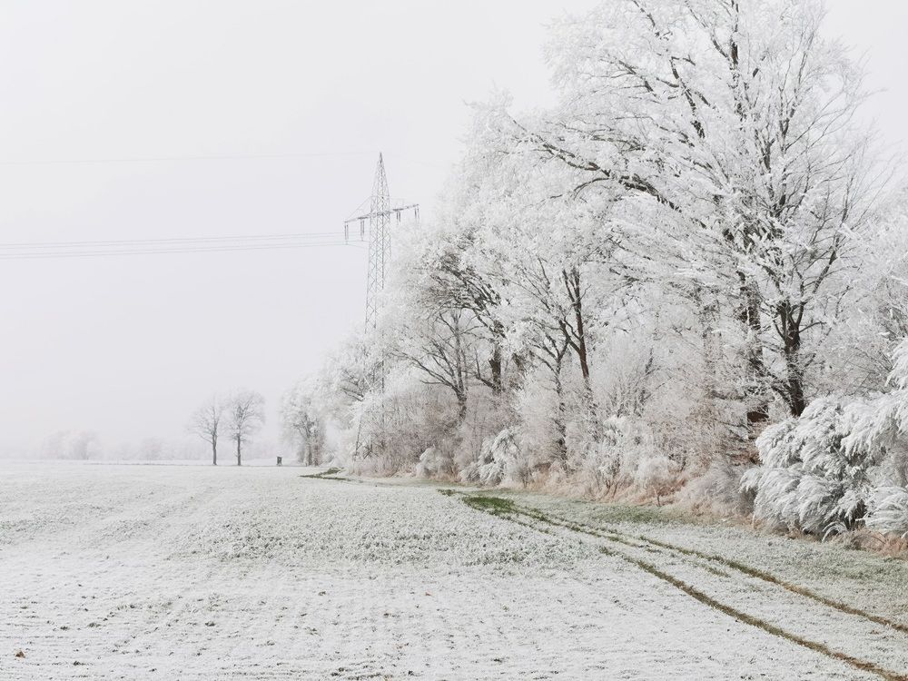Зимний день