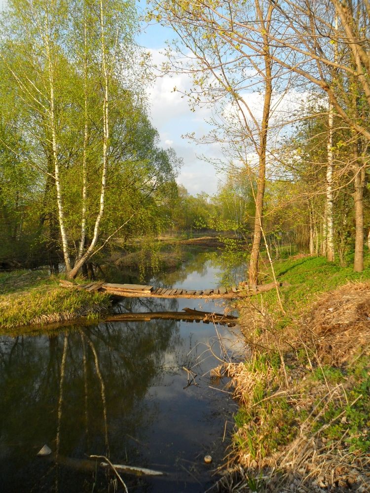 Photograph by Виктория