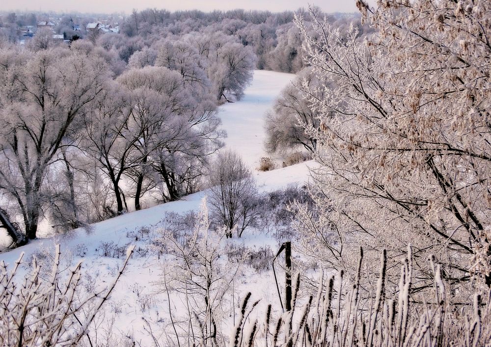 Снег и иней покрыли природу