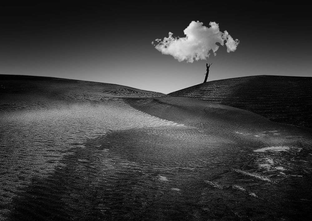 Photograph by Damian Argüello