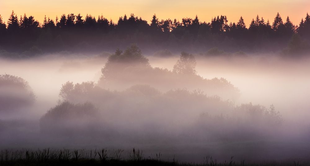 Фотография автора Дмитрий Дроздов