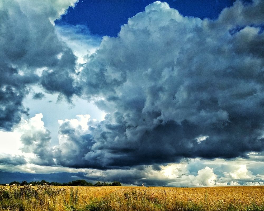 Photograph by Ольга Третьякова