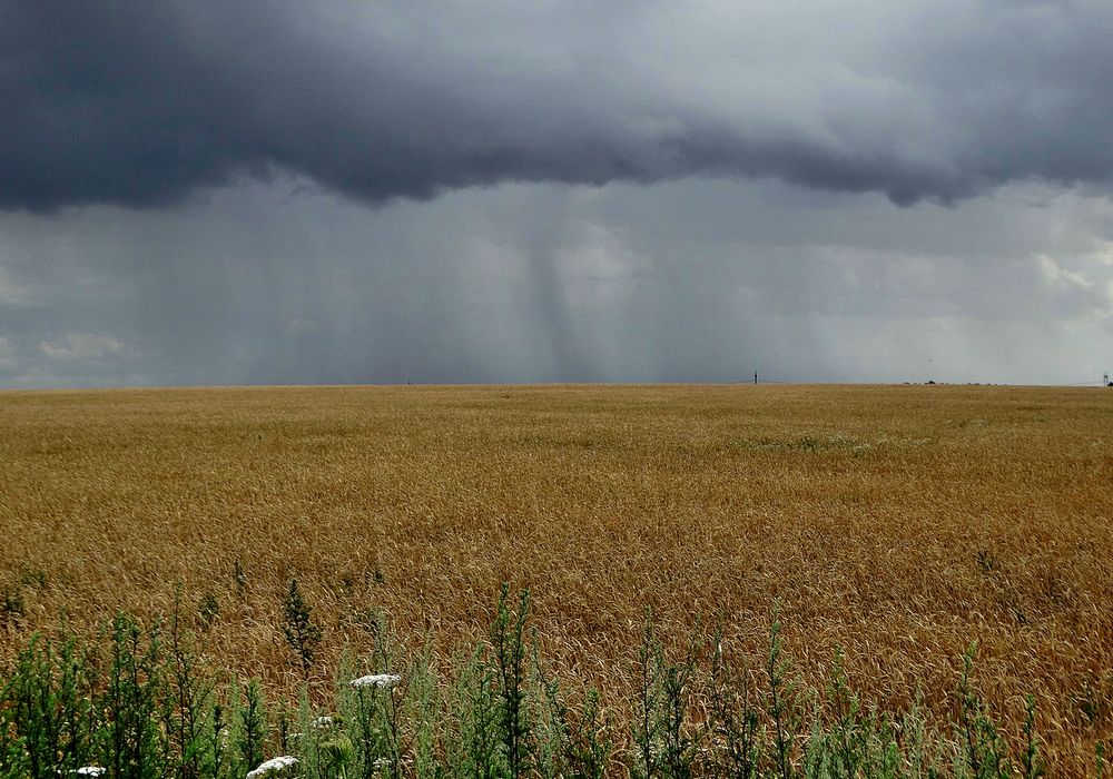 Ураганный шквал наступает
