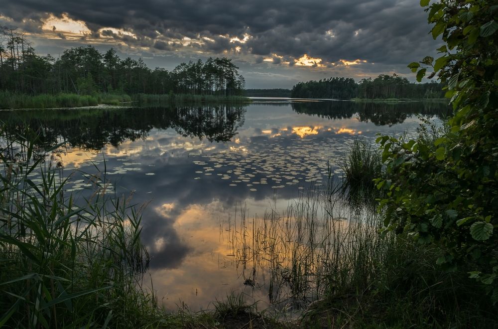 Photograph by Виктор Рыков