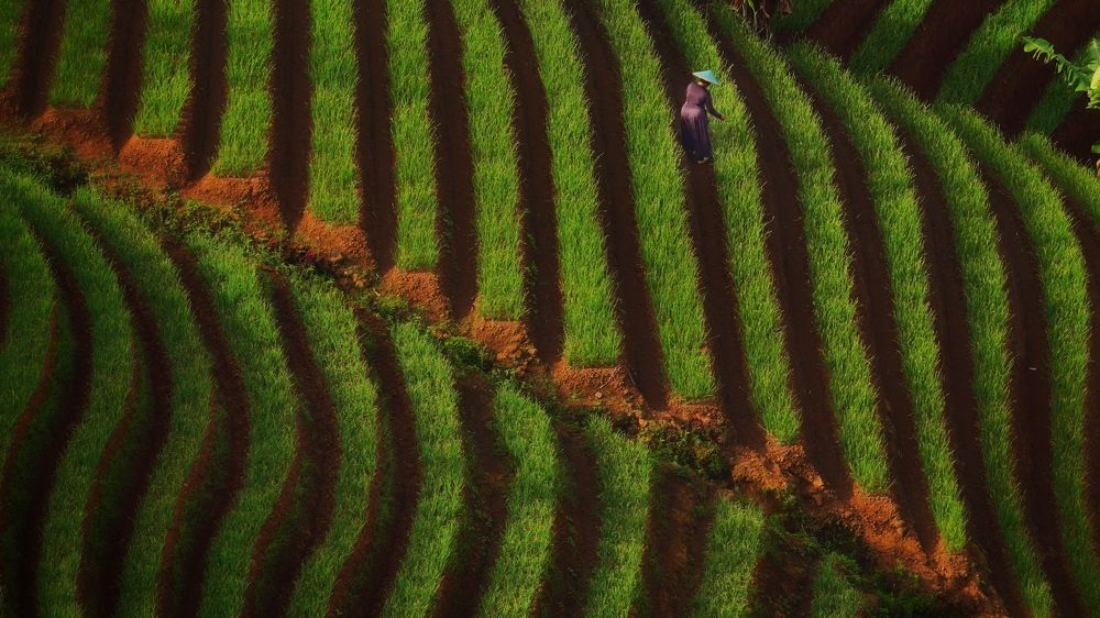 Photograph by Henri Fitriadi