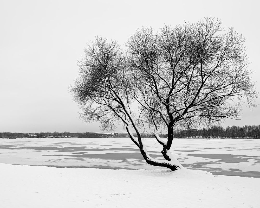 Photograph by Надежда Смирнова