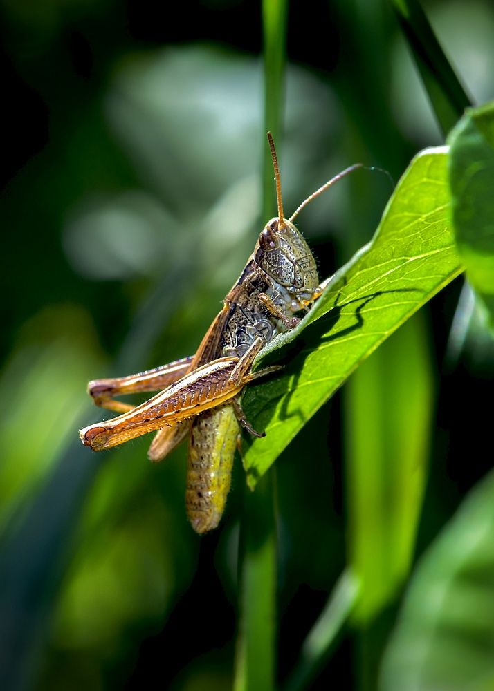 Photograph by Valery Pegushev