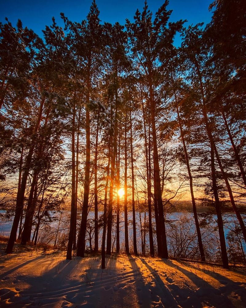 Photograph by Evgenia Privalova