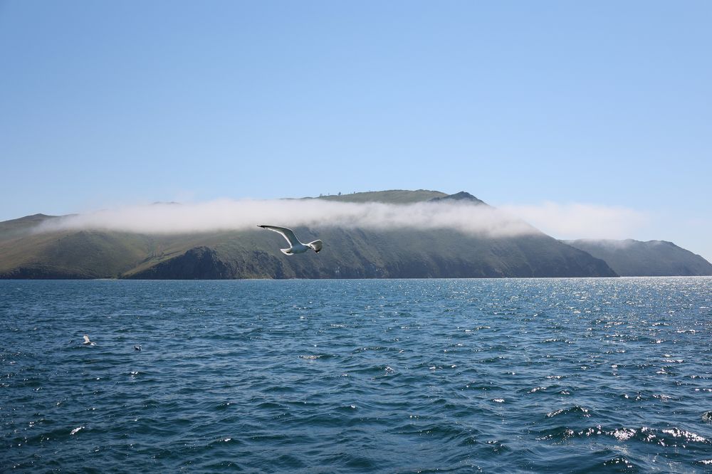 Photograph by Юлия Петрова