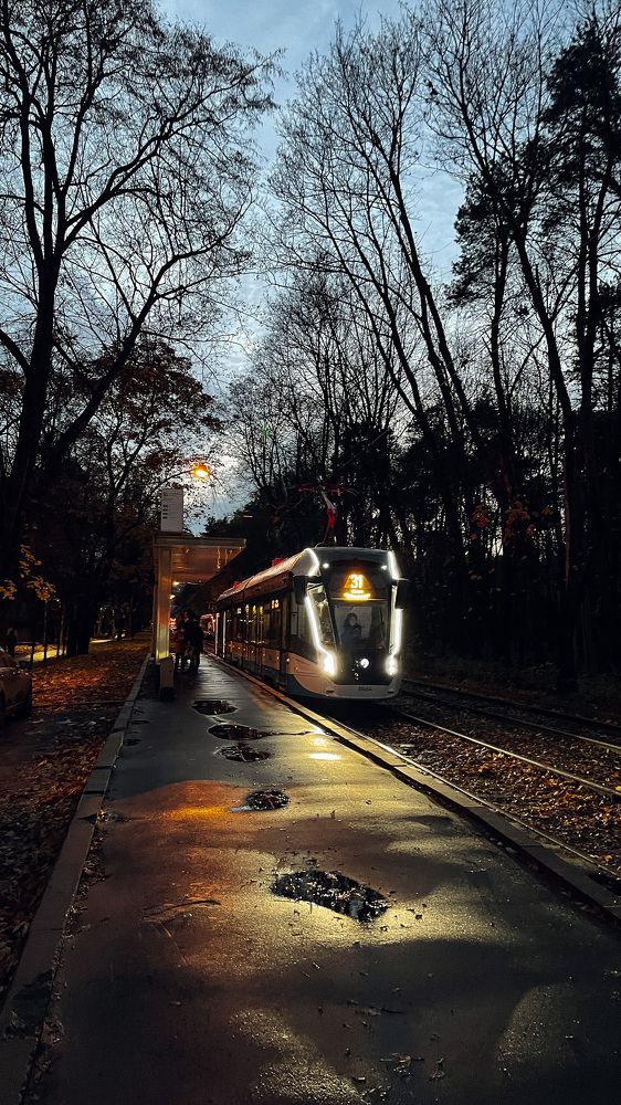 Photograph by Ландыш