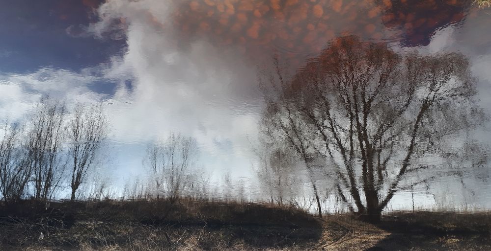 Фотография автора Катя Борзыкина