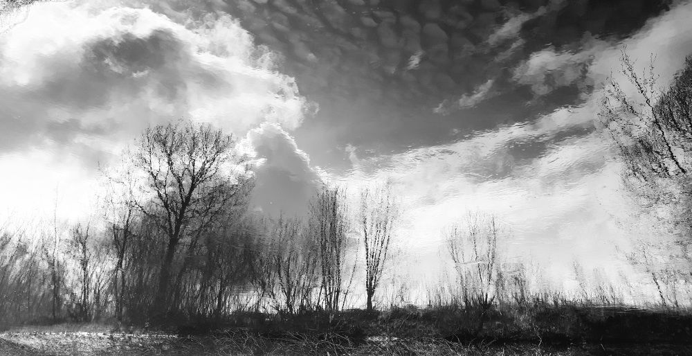 Фотография автора Екатерина Борзыкина