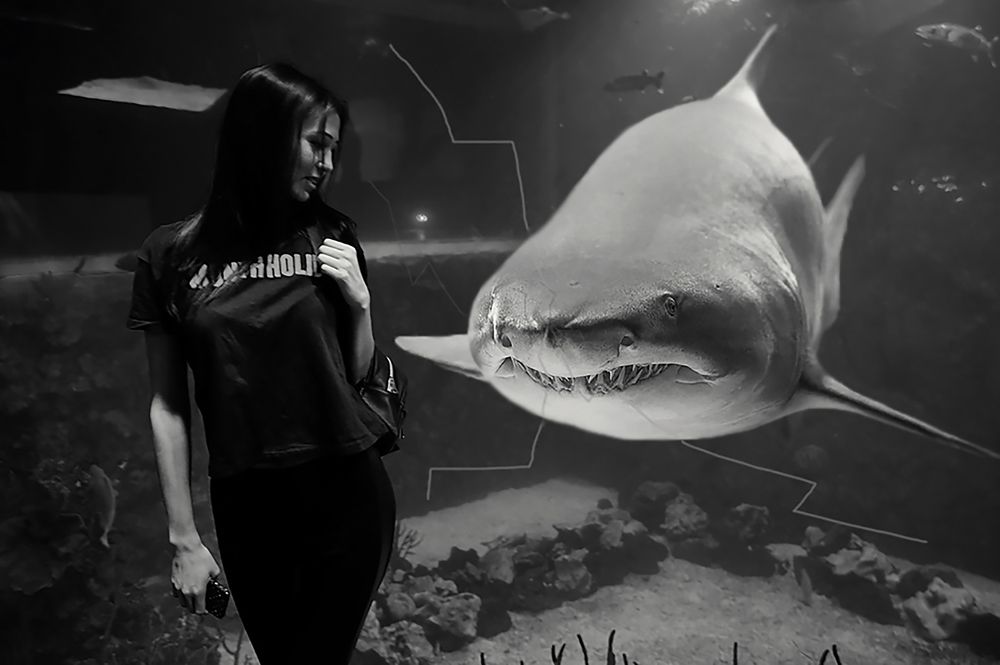 Новые челюсти или забыли покормить