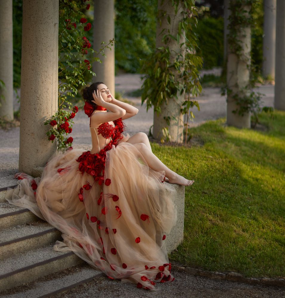 Садовая роза