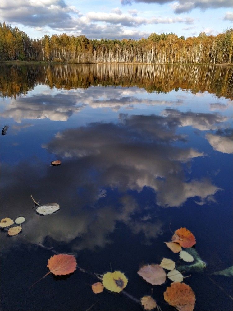 Photograph by Ольга Белик