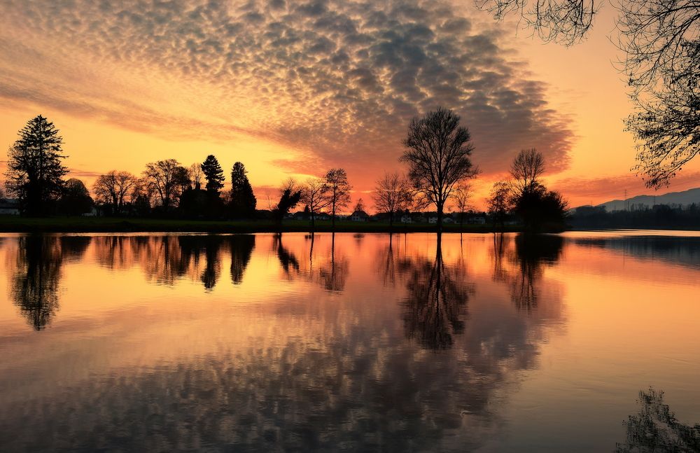 Photograph by Elena Wymann