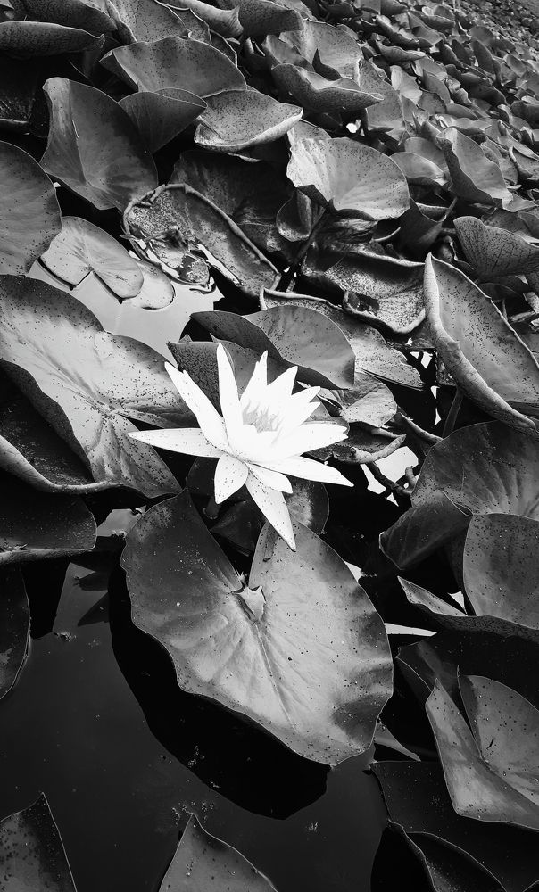 Photograph by Мария Архипова