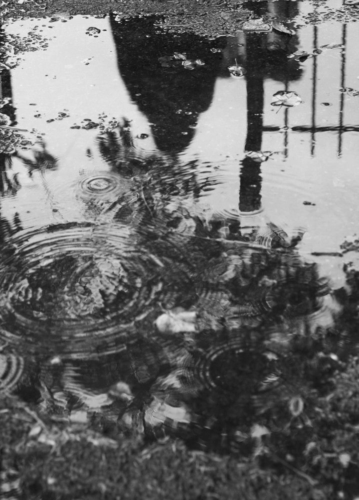 Photograph by Capata Iulia