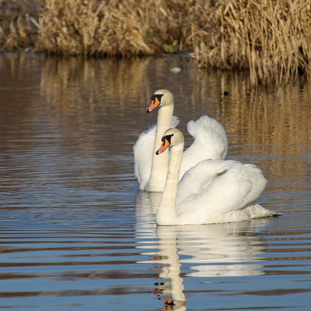 Photograph by Алиса Панова
