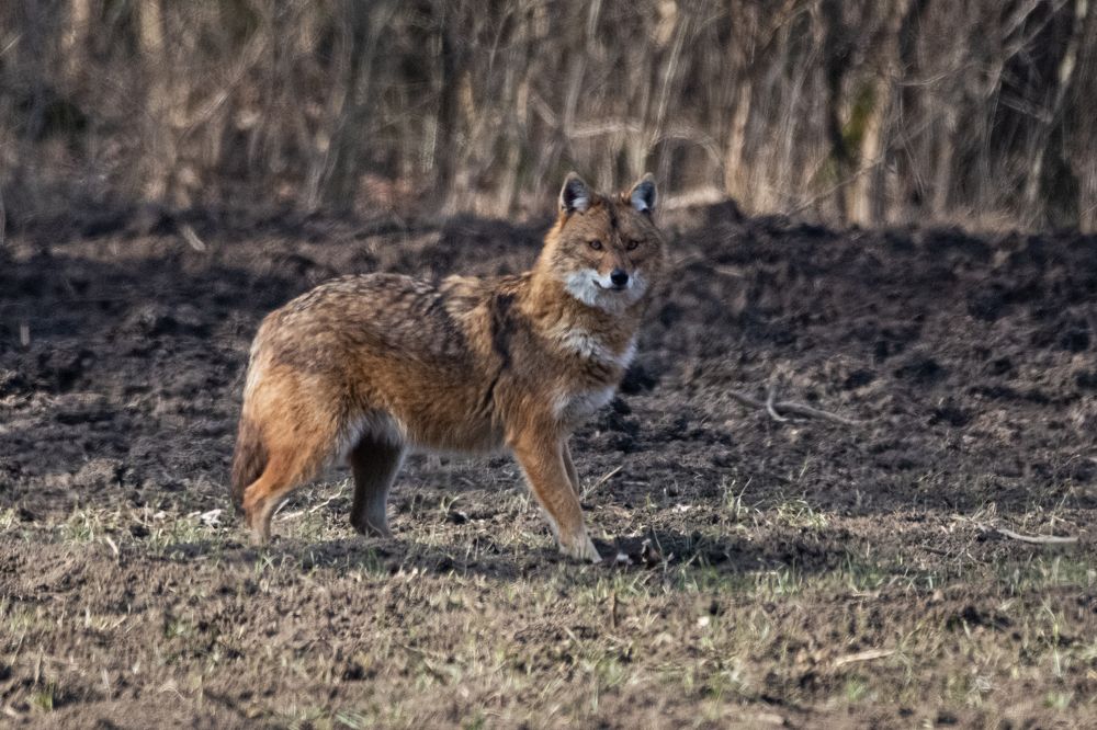 Photograph by Petar Chapkanov