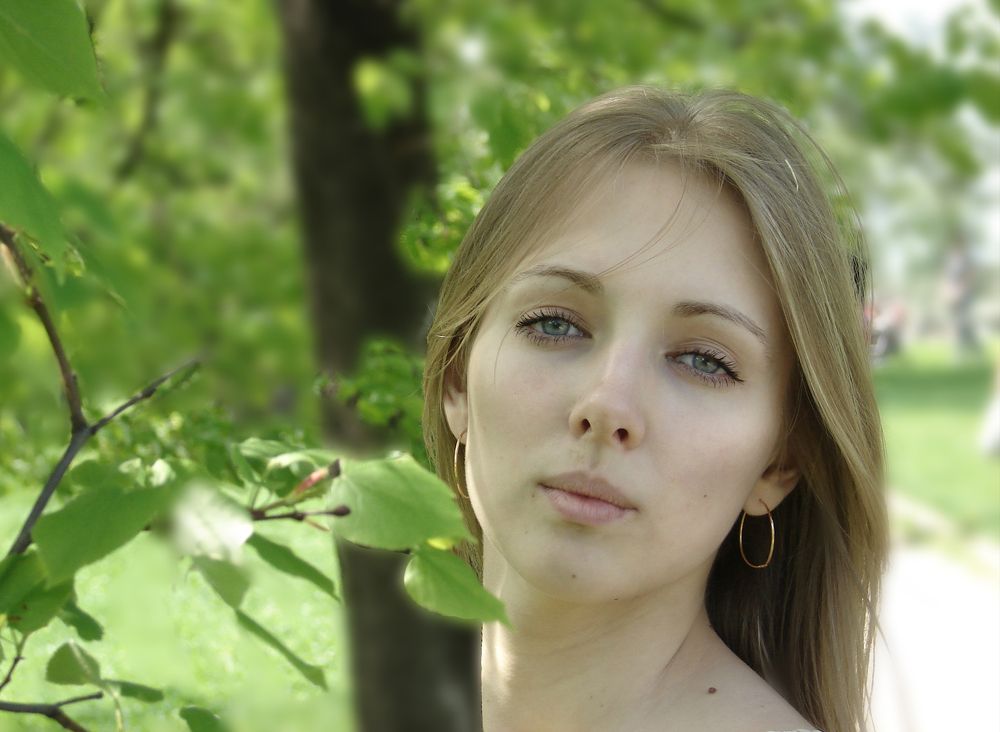Photo #8457586