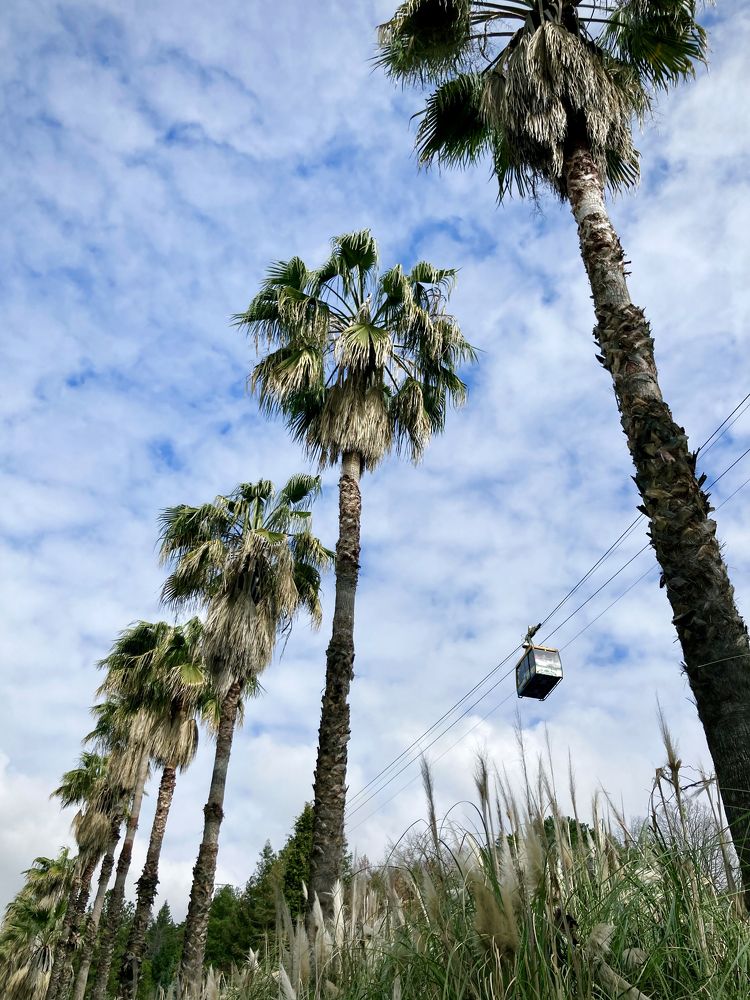 Photograph by Анна Снеткова