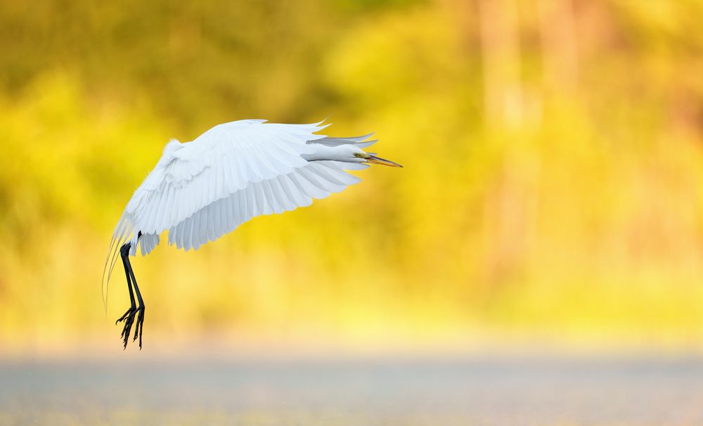 Photograph by  Christopher