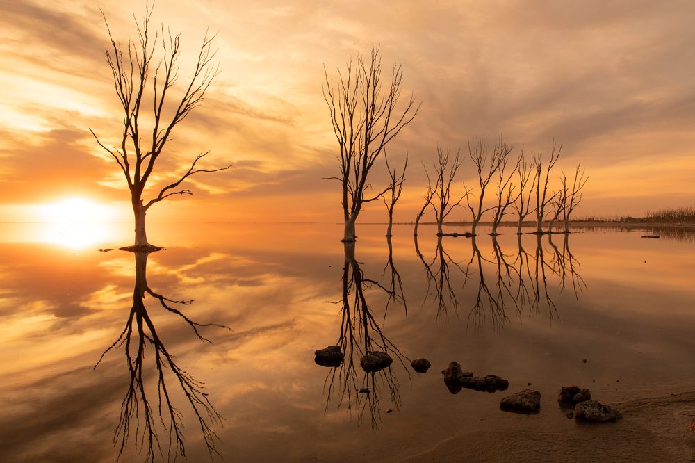 Photograph by Lucia Ana Juárez