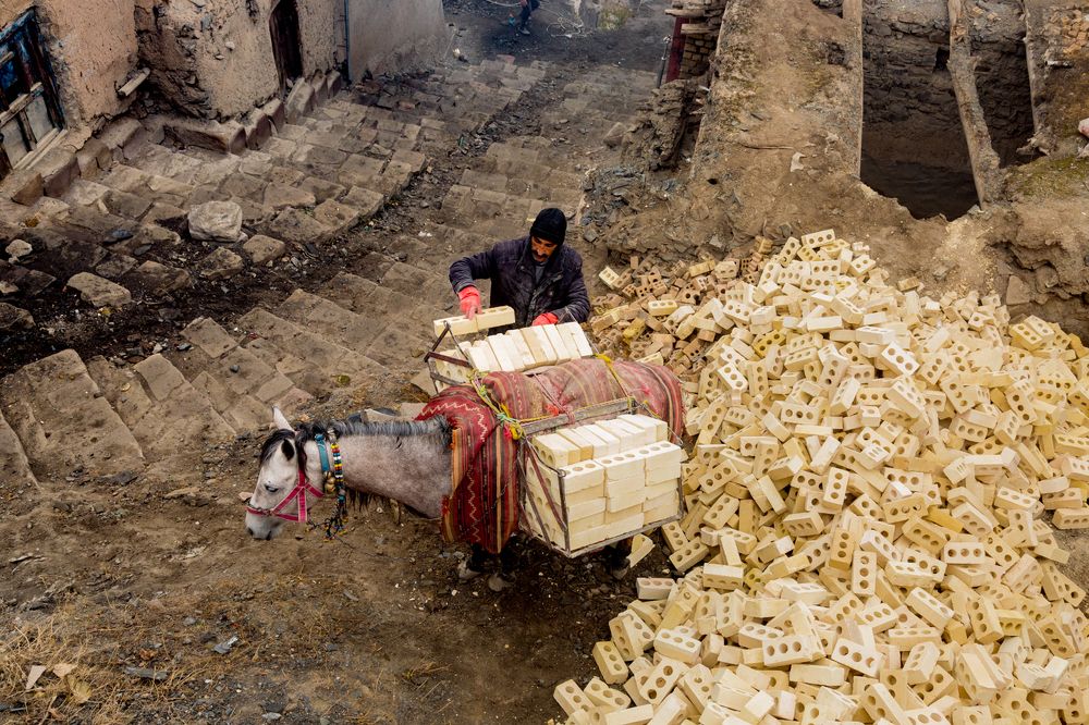 Photograph by seyed mostafa yousefi