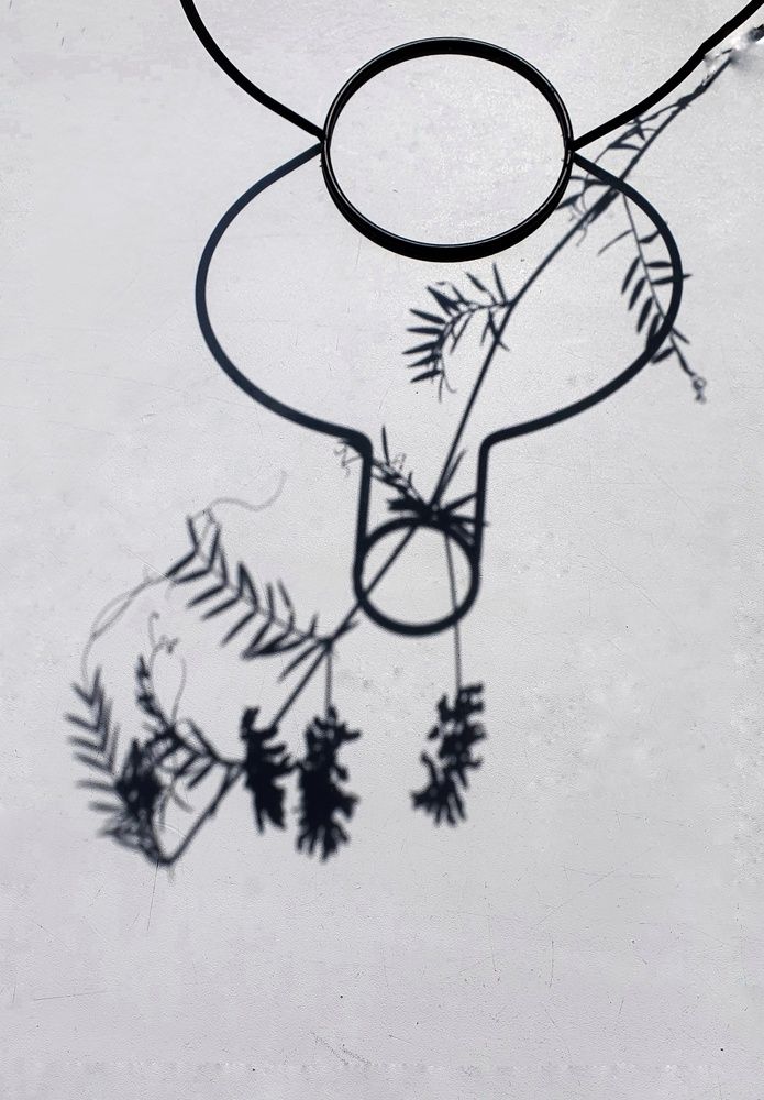 Photograph by Larisa Usova