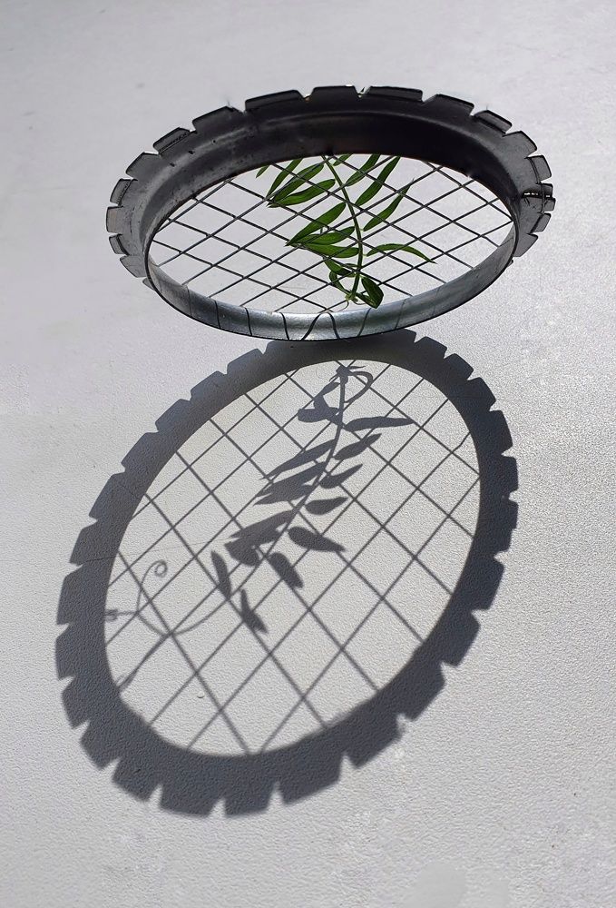 Photograph by Larisa Usova