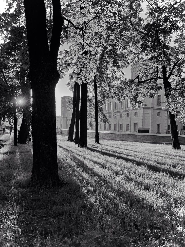 Photograph by Александра Кулеш