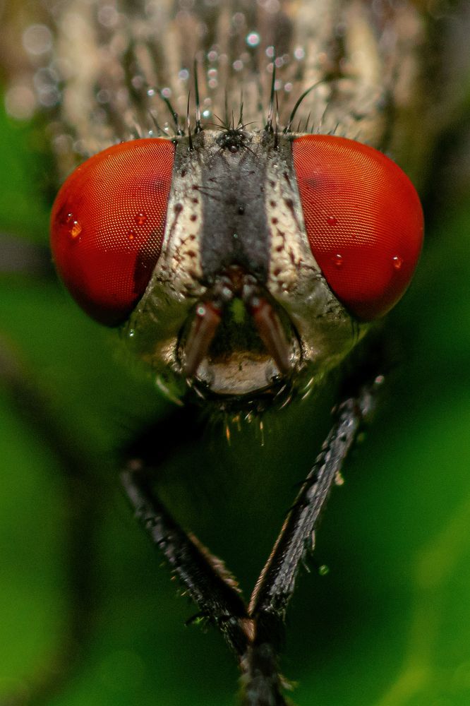 Photograph by Zinda Shaik Mohideen M