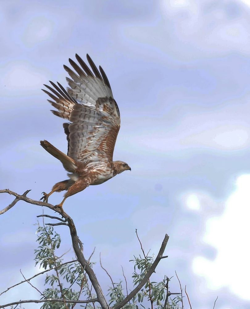 Жертва обнаружена