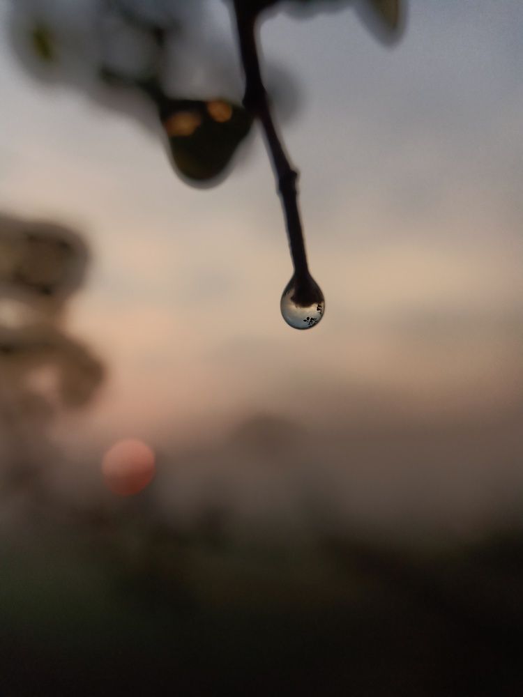 Фотография автора Furqan Hadier