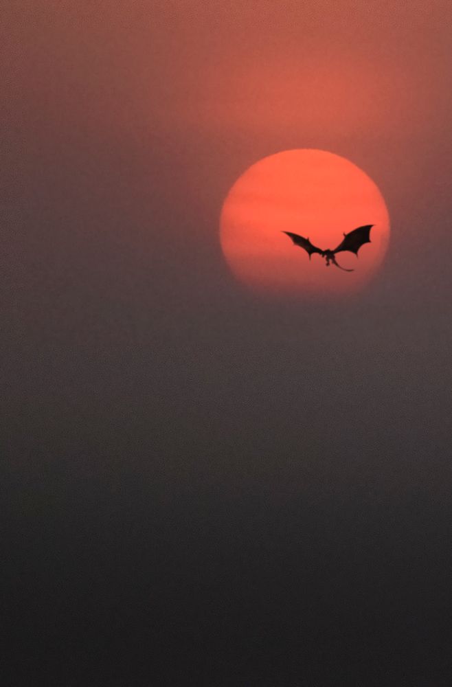 Photograph by Roman Bevzenko