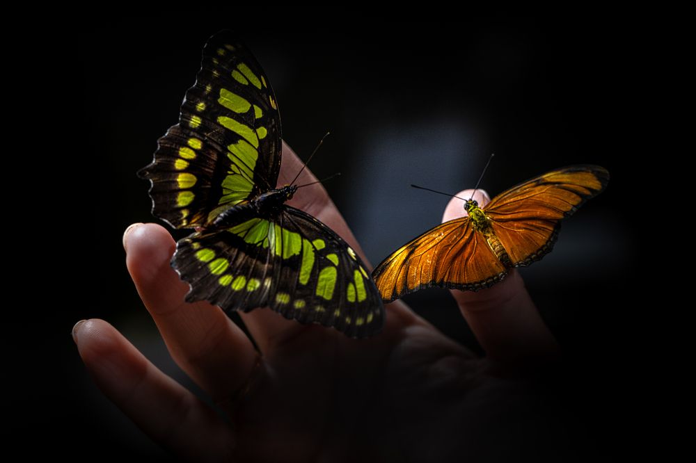 Photograph by Roman Bevzenko