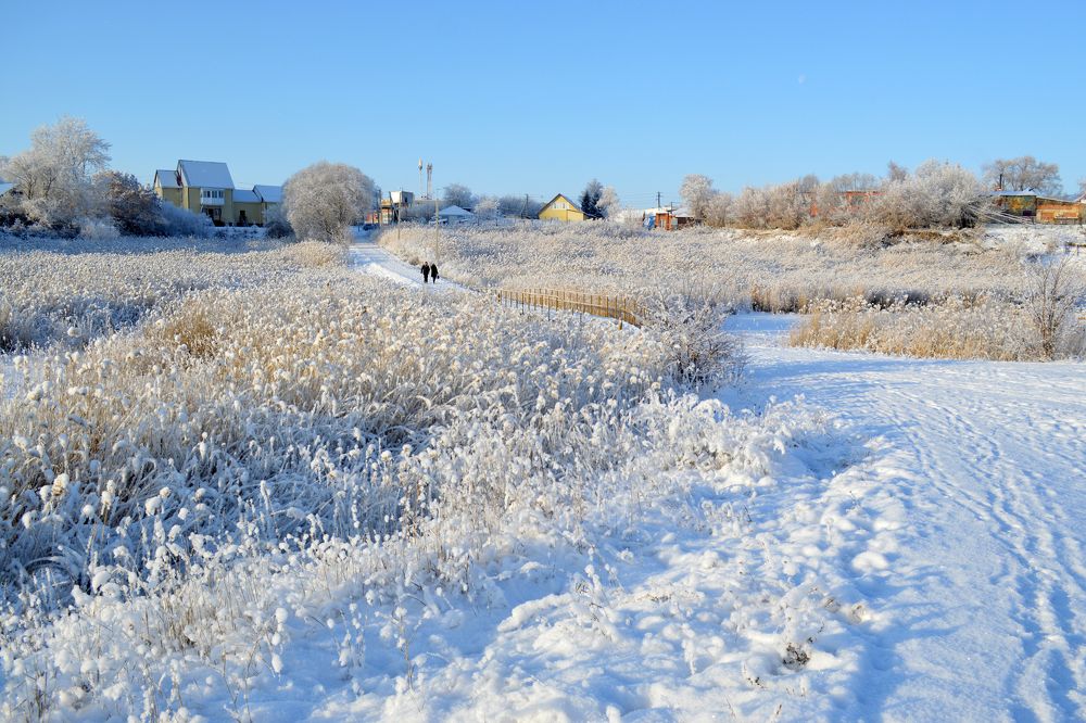 Хрустальный звон морозного утра