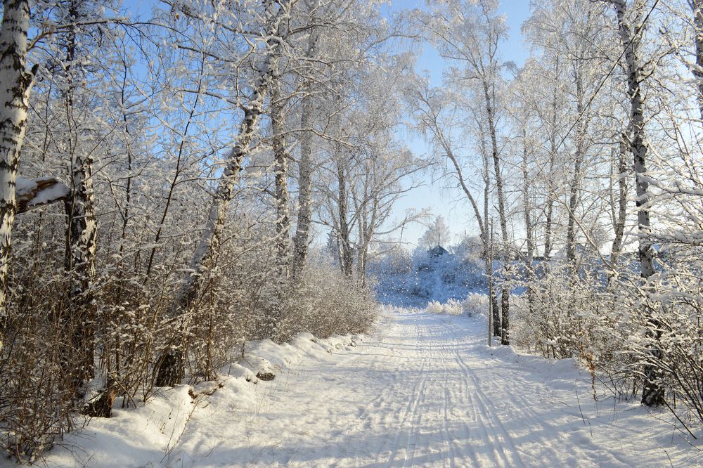 Немного зимнего таинства