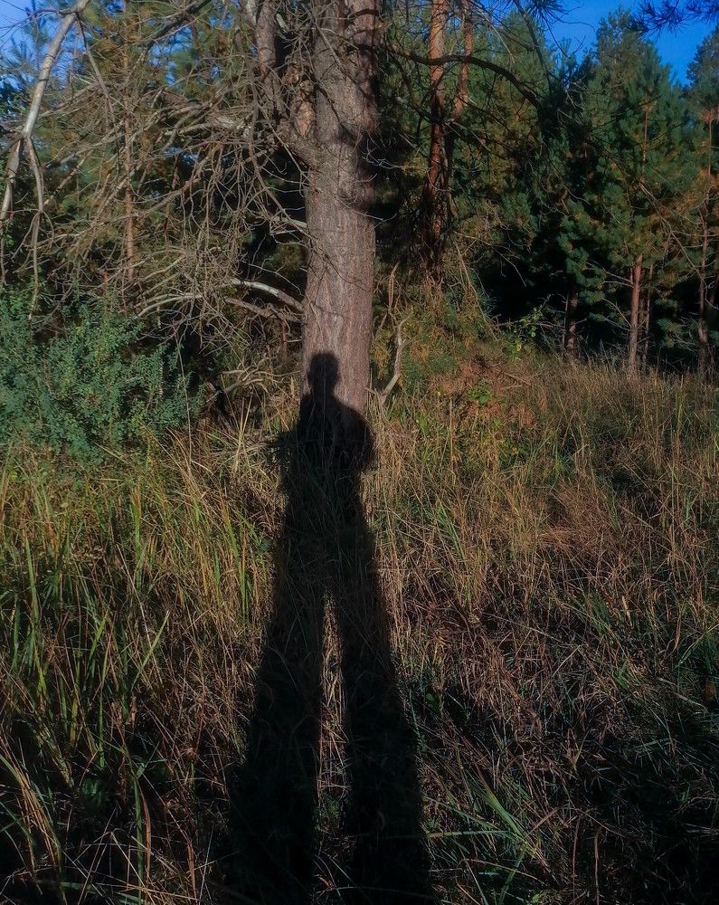 Фотография автора Виталий Дузь