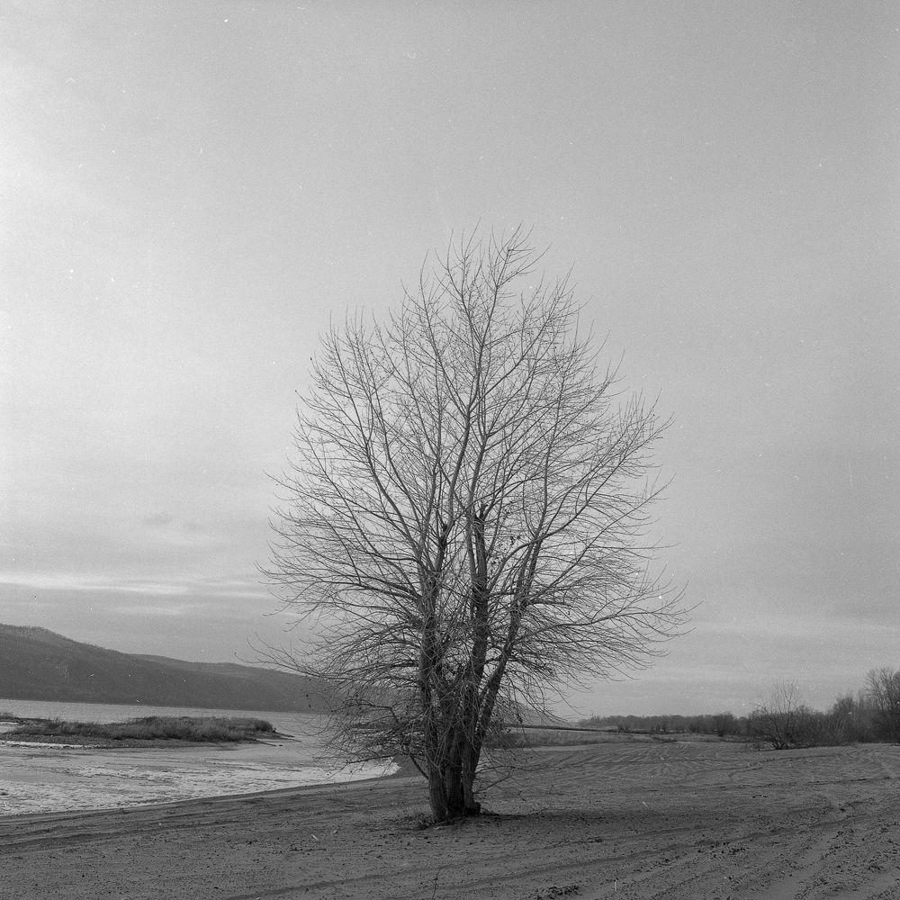 Photograph by Александр Старцев