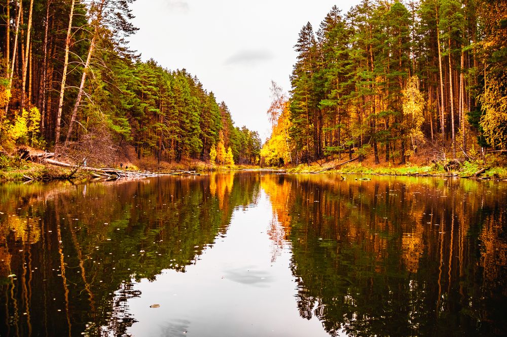 Photograph by Василий Лазарев