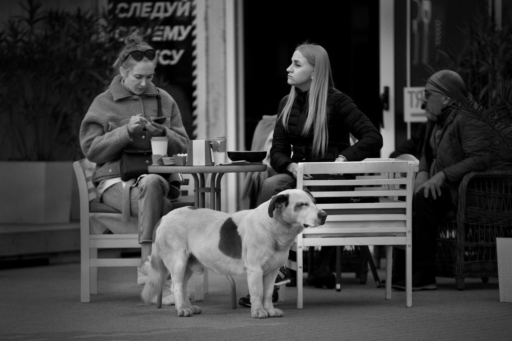 Photograph by Виктор Смирнов