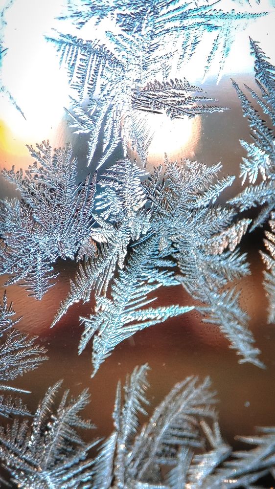 Фотография автора Анастасия Мамаева